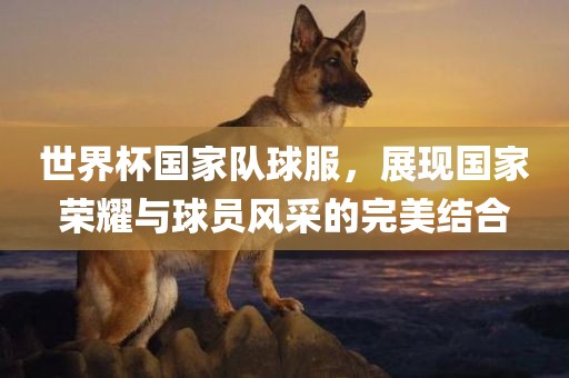 世界杯国家队球服，展现国家荣耀与球员风采的完美结合