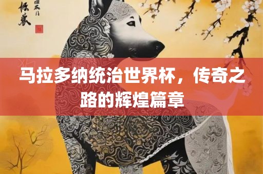 马拉多纳统治世界杯，传奇之路的辉煌篇章