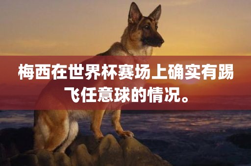 梅西在世界杯赛场上确实有踢飞任意球的情况。
