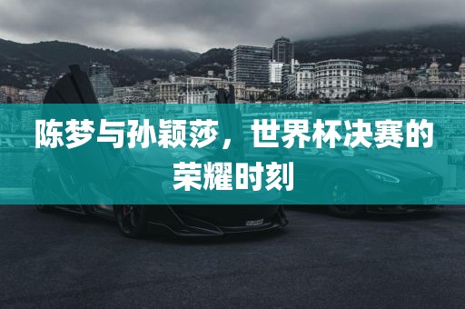 陈梦与孙颖莎，世界杯决赛的荣耀时刻