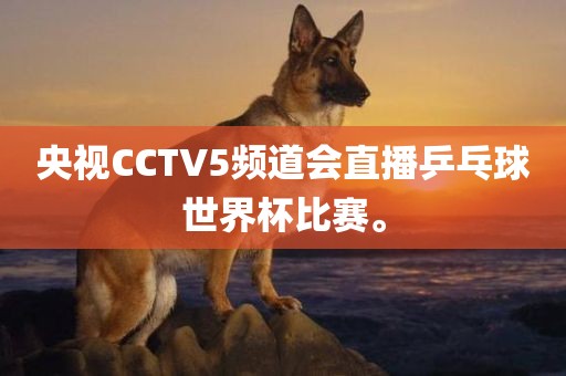 央视CCTV5频道会直播乒乓球世界杯比赛。