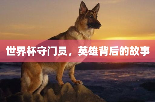 世界杯守门员，英雄背后的故事