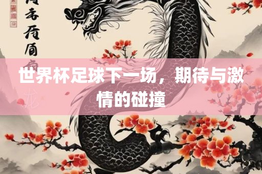 世界杯足球下一场，期待与激情的碰撞