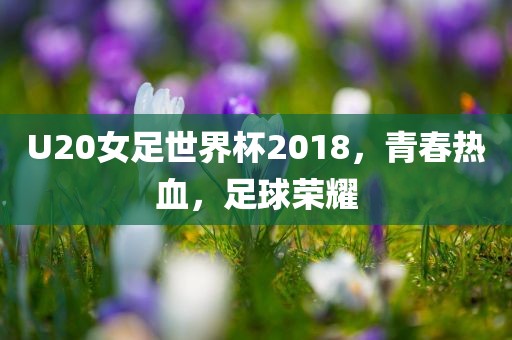 U20女足世界杯2018，青春热血，足球荣耀