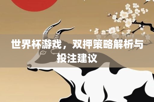 世界杯游戏，双押策略解析与投注建议