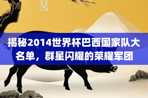 揭秘2014世界杯巴西国家队大名单，群星闪耀的荣耀军团