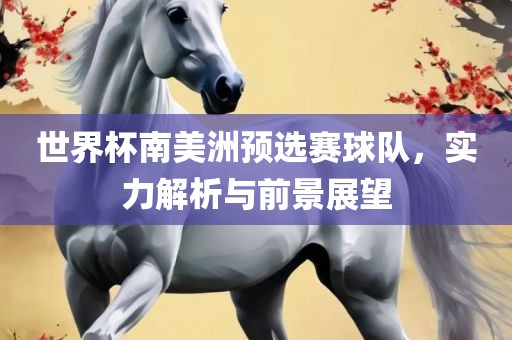 世界杯南美洲预选赛球队，实力解析与前景展望