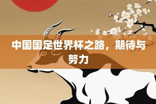 中国国足世界杯之路，期待与努力