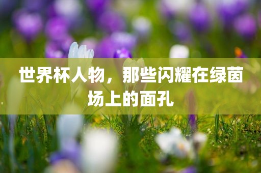 世界杯人物，那些闪耀在绿茵场上的面孔