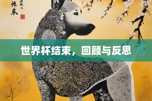 世界杯结束，回顾与反思