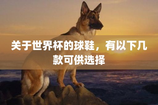 关于世界杯的球鞋，有以下几款可供选择
