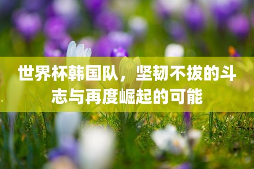 世界杯韩国队，坚韧不拔的斗志与再度崛起的可能