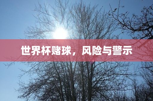 世界杯赌球，风险与警示