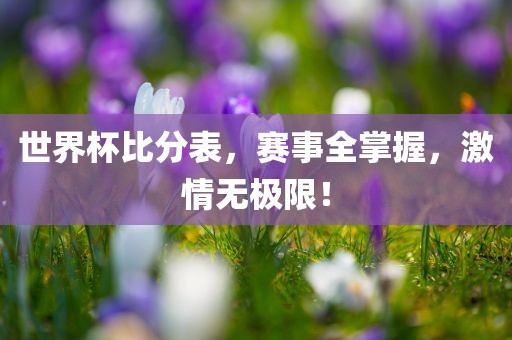 世界杯比分表，赛事全掌握，激情无极漯河市盈旭机械设备有限公司限！