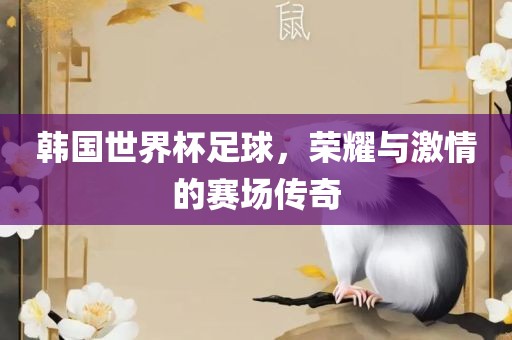 韩国世界杯足球，荣耀与激情的赛场传奇