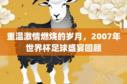 重温激情燃烧的岁月，2007年世界杯足球盛宴回顾