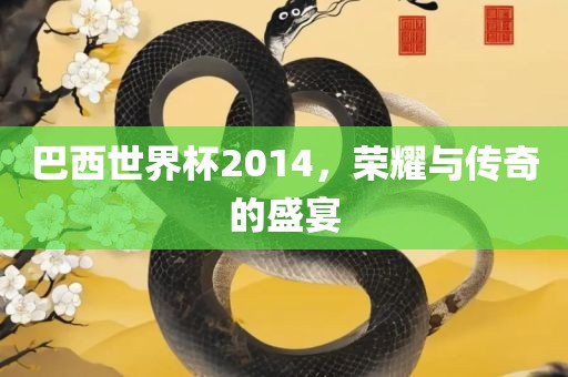 巴西世界杯2014，荣耀与传奇的盛宴