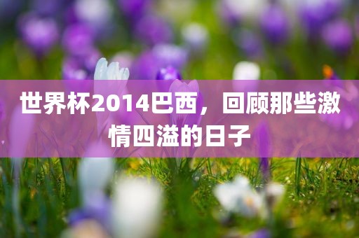 世界杯2014巴西，回顾那些激情四溢的日子
