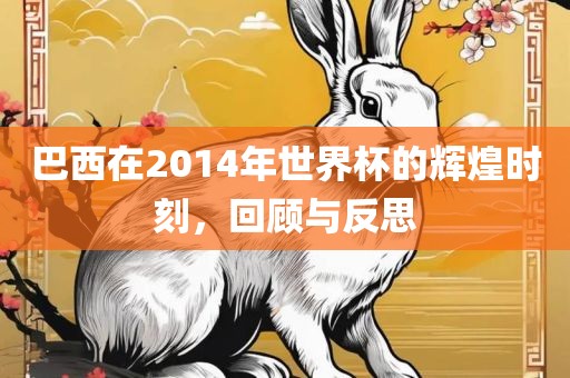 巴西在2014年世界杯的辉煌时刻，回顾与反思