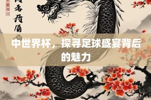 中世界杯，探寻足球盛宴背后的魅力