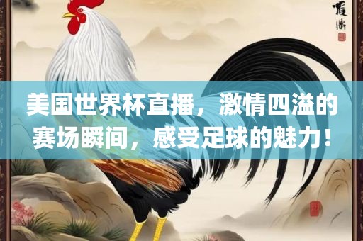 美国世界杯直播，激情四溢的赛场瞬间，感受足球的魅力！