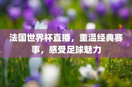 法国世界杯直播，重温经典赛事，感受足球魅力
