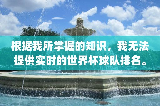 根据我所掌握的知识，我无法提供实时的世界杯球队排名。