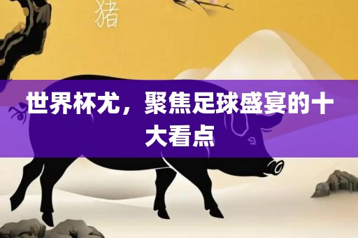 世界杯尤，聚焦足球盛宴的十大看点