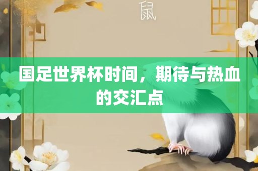 国足世界杯时间，期待与热血的交汇点