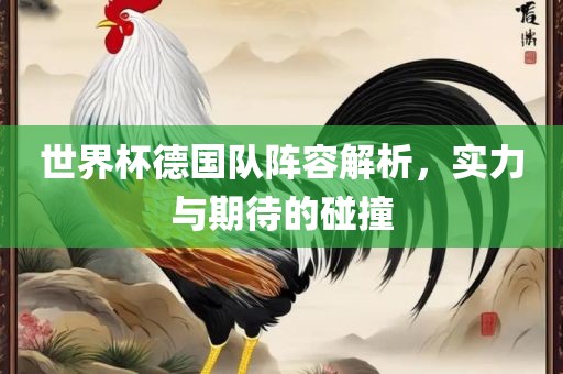 世界杯德国队阵容解析，实力与期待的碰撞