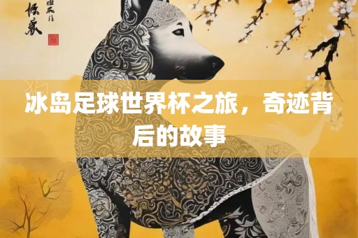 冰岛足球世界杯之旅，奇迹背后的故事