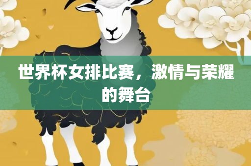 世界杯女排比赛，激情与荣耀的舞台