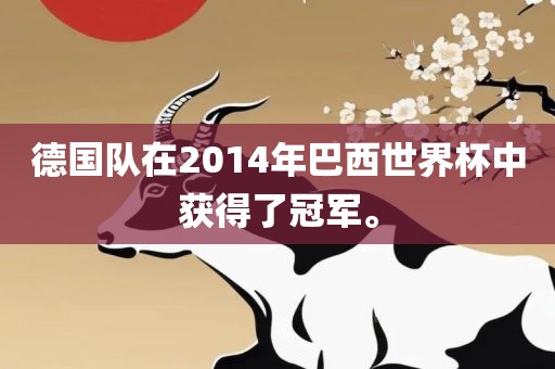 德国队在2014年巴西世界杯中获得了冠军。