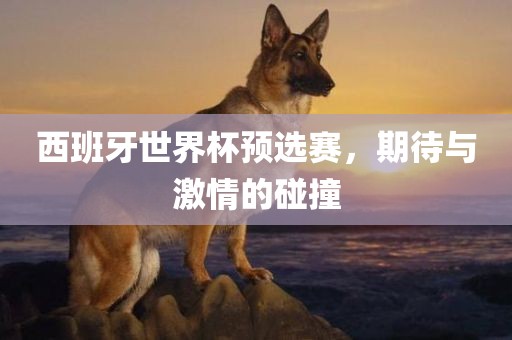 西班牙世界杯预选赛，期待与激情的碰撞