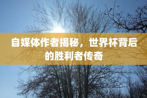 自媒体作者揭秘，世界杯背后的胜利者传奇