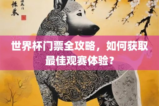 世界杯门票全攻略，如何获取最佳观赛体验？