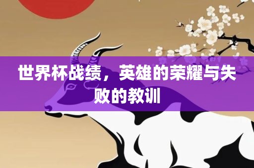 世界杯战绩，英雄的荣耀与失败的教训