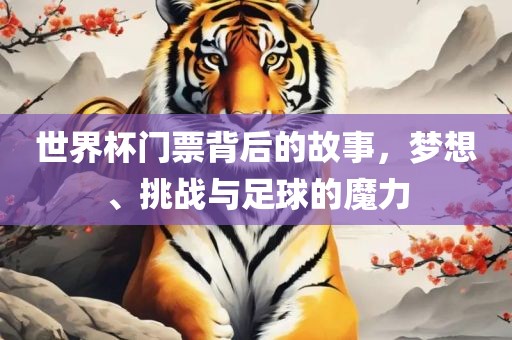 世界杯门票背后的故事，梦想、挑战与足球的魔力