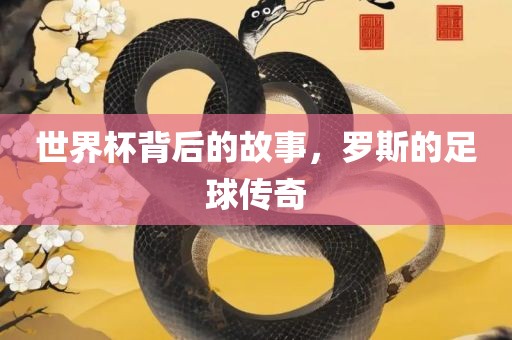 世界杯背后的故事，罗斯的足球传奇