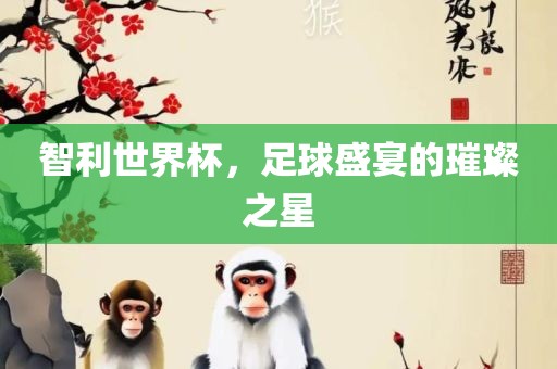 智利世界杯，足球盛宴的璀璨之星
