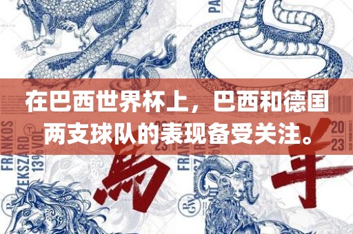 在巴西世界杯上，巴西和德国两支球队的表现备受关注。