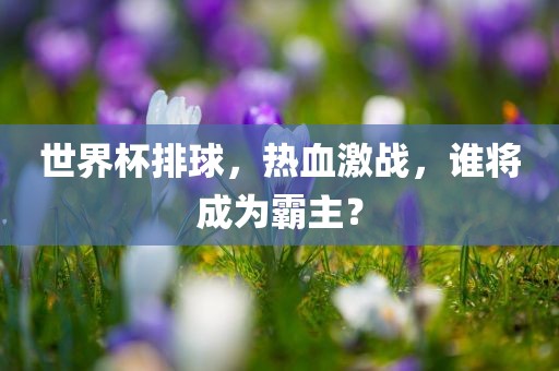 世界杯排球，热血激战，谁将成为霸主？