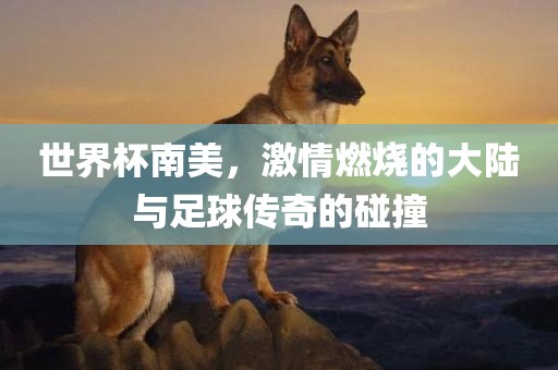 世界杯南美，激情燃烧的大陆与足球传奇的碰撞