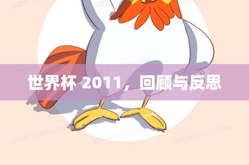 世界杯 2011，回顾与反思