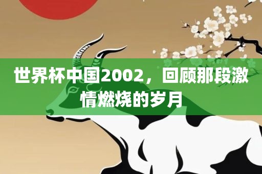 世界杯中国2002，回顾那段激情燃烧的岁月