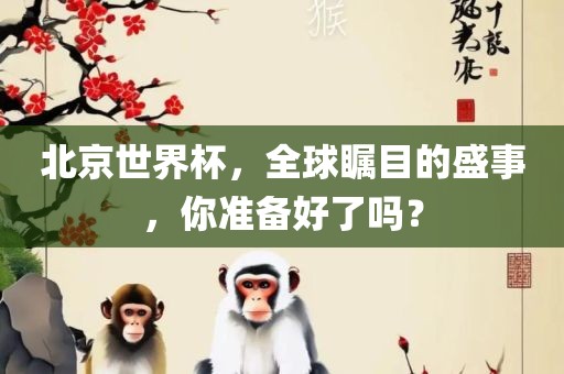 北京世界杯，全球瞩目的盛事，你准备好了吗？