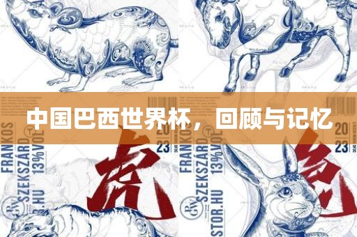 中国巴西世界杯，回顾与记忆