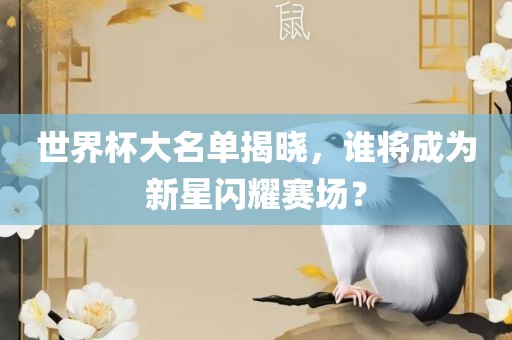 世界杯大名单揭晓，谁将成为新星闪耀赛场？