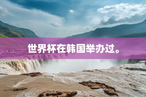 世界杯在韩国举办过。