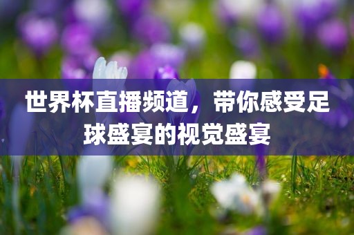 世界杯直播频道，带你感受足球盛宴的视觉盛宴